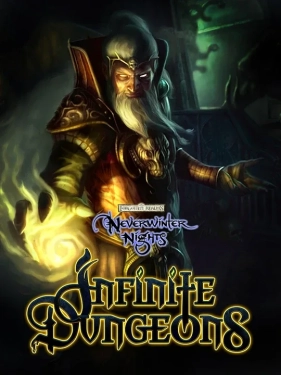 Jaquette Neverwinter Nights: Infinite Dungeons