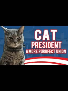 Jaquette Cat President: A More Purrfect Union