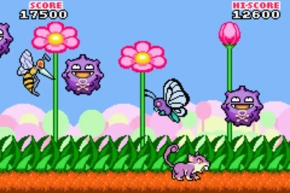 Jaquette Flower Power