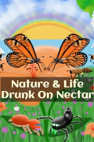 Drunk on Nectar