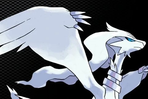 Jaquette Pokémon Black Version