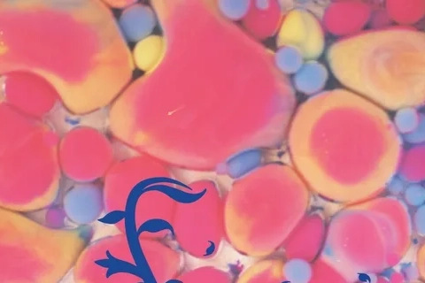 Jaquette PixelJunk Eden 2