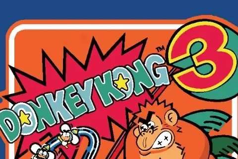 Jaquette Donkey Kong 3