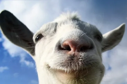 Jaquette Goat Simulator