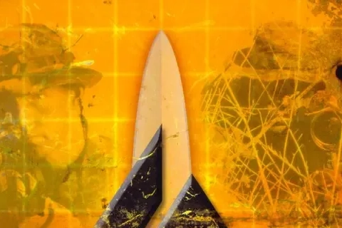 Jaquette Delta Force 2