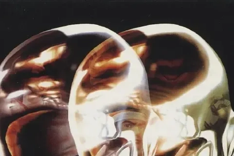 Jaquette Virtua Fighter 3