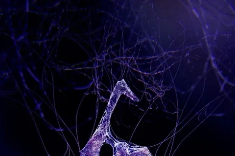 Jaquette Resident Evil 6