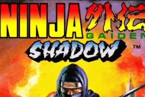 Jaquette Ninja Gaiden Shadow