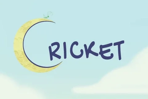 Jaquette Cricket: Jae's Really Peculiar Game