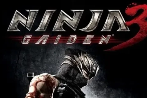Jaquette Ninja Gaiden 3