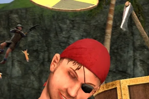 Jaquette Pirates, Vikings, and Knights II