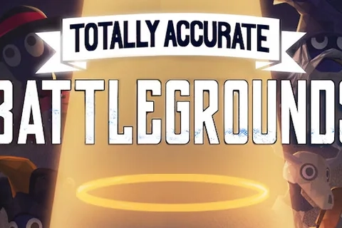 Jaquette Totally Accurate Battlegrounds