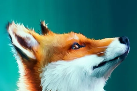 Jaquette Spirit of the North