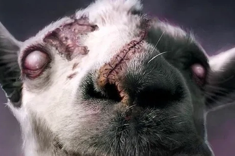 Jaquette Goat Simulator GoatZ