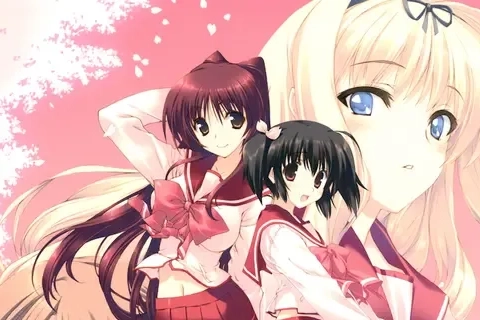 Jaquette Heartful Simulator Pachi-Slot: ToHeart2