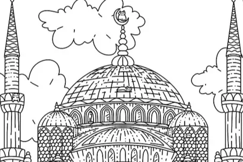 Jaquette 100 Istanbul Cats