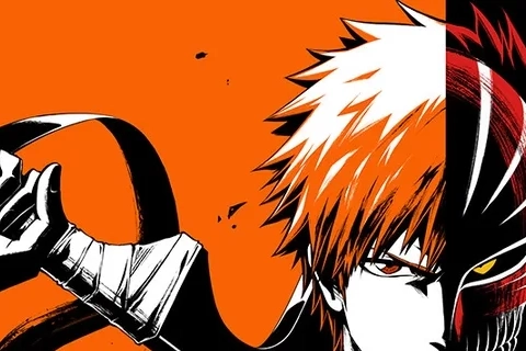 Jaquette Bleach: Rebirth of Souls