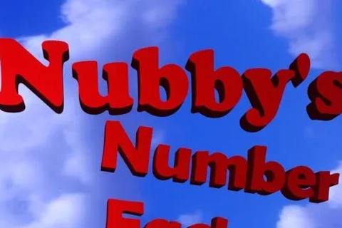 Jaquette Nubby's Number Factory