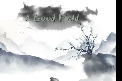 Jaquette A Good Field