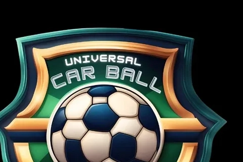 Jaquette Universal Car Ball