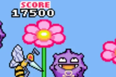 Jaquette Flower Power