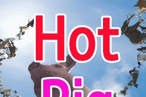 Jaquette Hot Pig Jump!