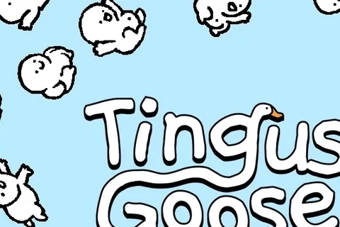 Jaquette Tingus Goose