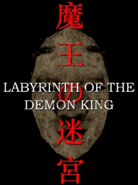 Jaquette Labyrinth of the Demon King