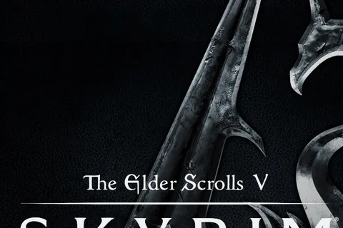 Jaquette The Elder Scrolls V: Skyrim - Special Edition