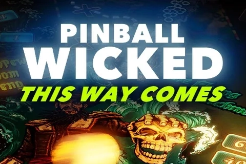 Jaquette Pinball Wicked