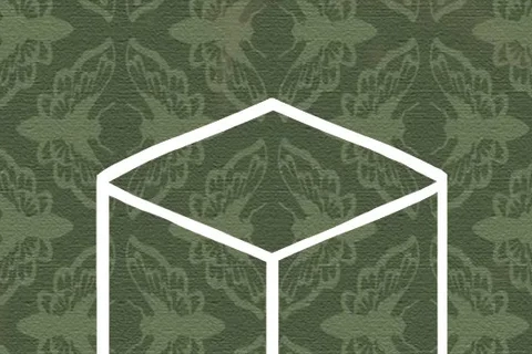 Jaquette Cube Escape: Paradox