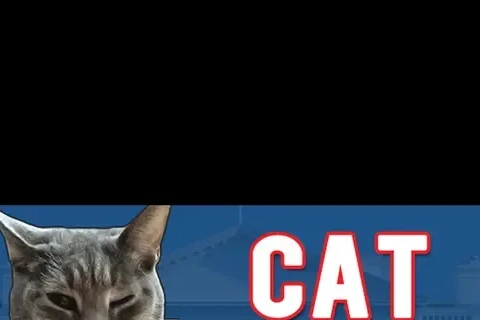 Jaquette Cat President: A More Purrfect Union