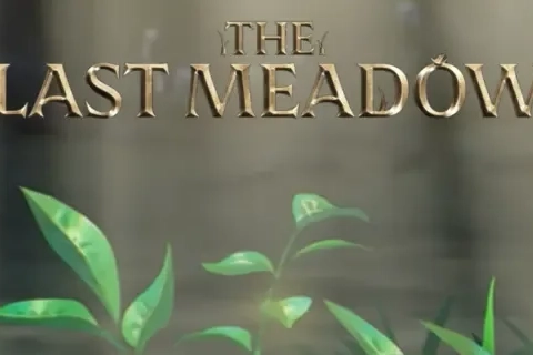 Jaquette The Last Meadow